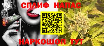 spice Шелехов