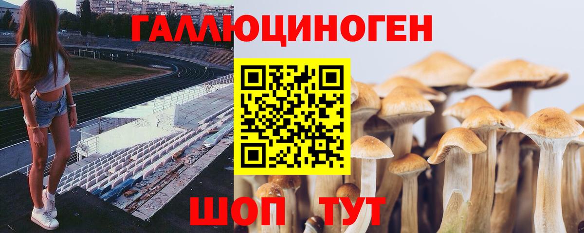 Галлюциногенные грибы ЛСД Алексеевка
